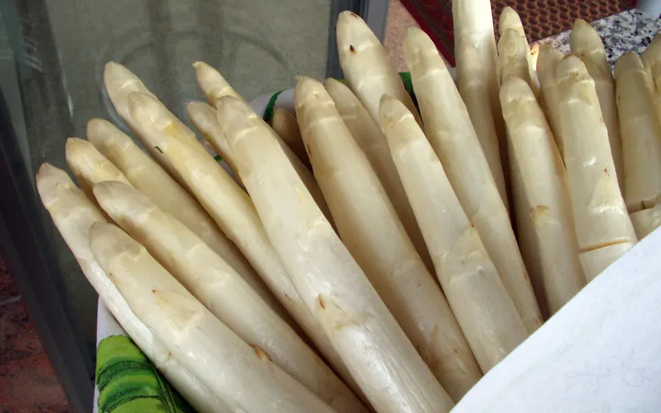 Asperge, photographie de la plante