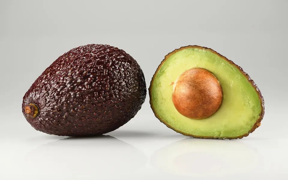 Avocat, au jardin