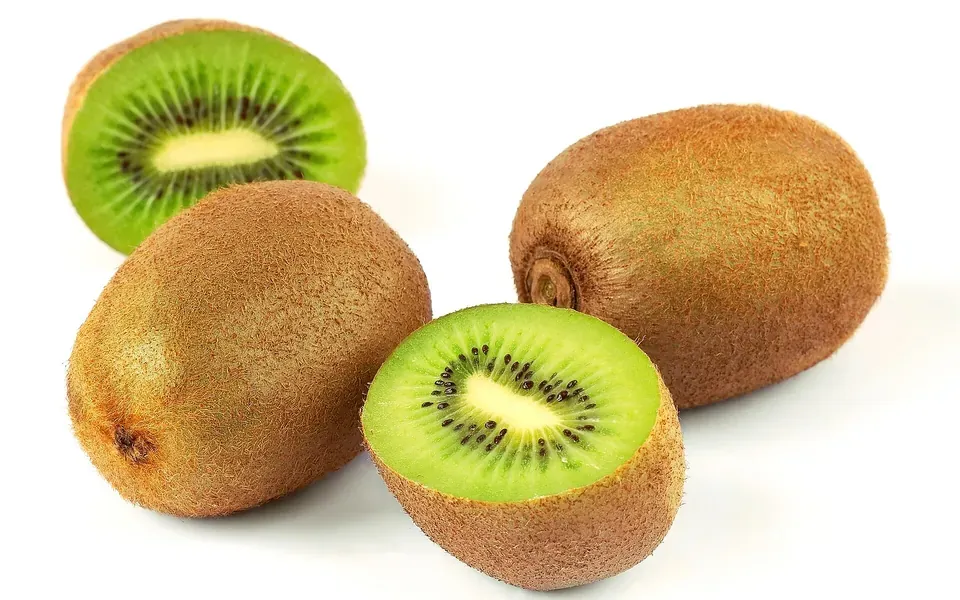 Kiwi, photographie de la plante